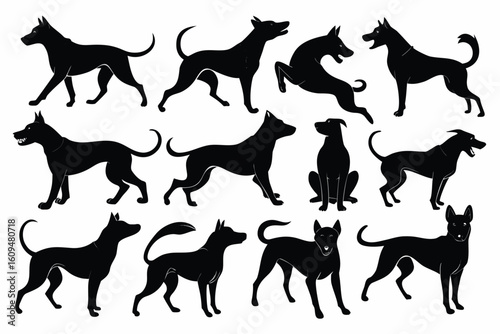 Collection of diverse dog silhouettes in various poses and breeds