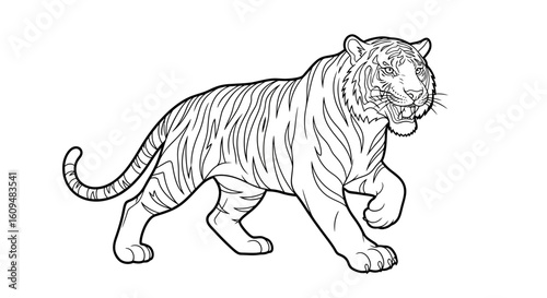 Tiger Vector Outline for Wildlife & Safari Animal Coloring Activities