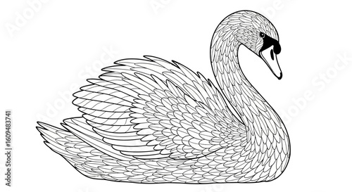 Elegant Swan Vector Outline for Pond Life & Bird Coloring Books