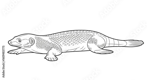 Venomous Water Moccasin Vector Outline for Reptile Coloring Books