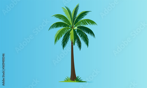 potted palm tree, aerial view palm tree
palm tree leaves, palm tree crown, palm branch, date palm, coconut palm, oil palm, tropical foliage, vacation resort, beachfront landscape, silhouette palm tree