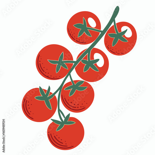 Red tomatoes on green vine vector illustration fruit