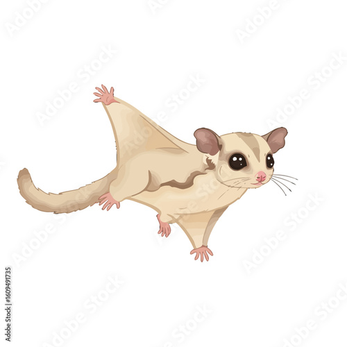 Adorable sugar glider illustration with outstretched limbs ready to glide and adding charm to any creative design