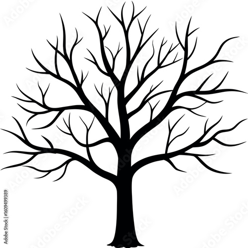Silhouette of a bare tree with intricate branches against a white background