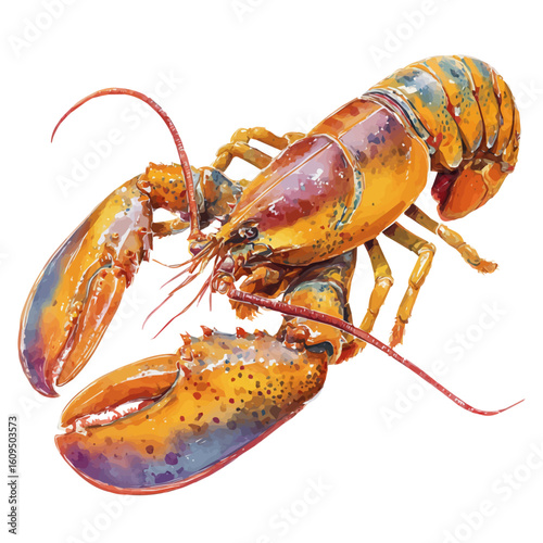 Lobster Thermidor in watercolor style, vector illustration, isolated on white background.