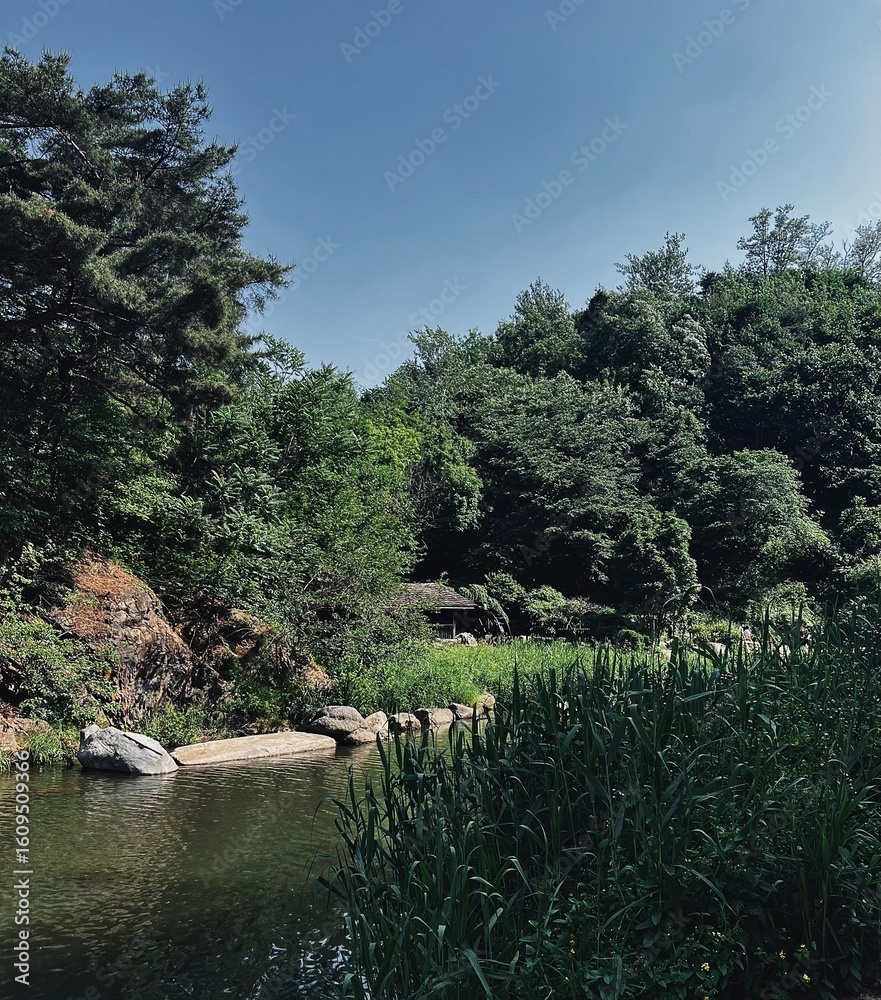 Obraz premium river in the park