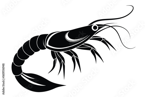 Stylized black and white illustration of a shrimp