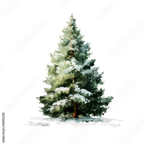 A watercolor painting of Christmas Tree, vector illustration on white background.