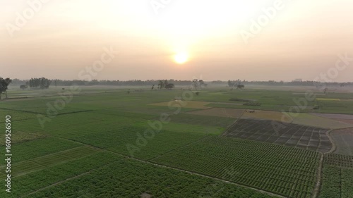 Golden hour drone footage of sunset over mixed agricultural fields in rural Bangladesh