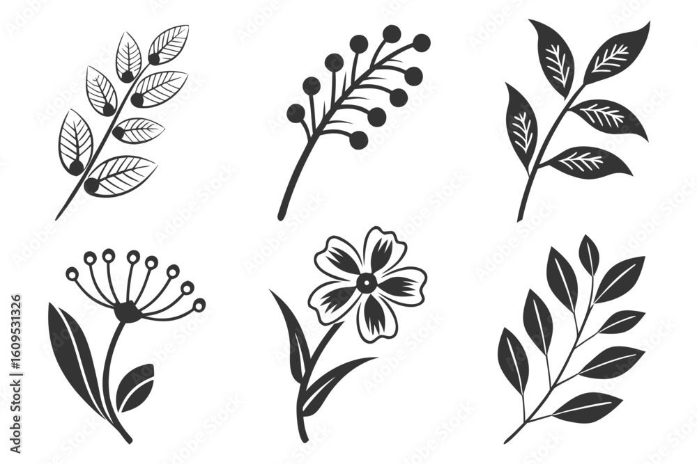 Fototapeta premium Collection of stylized botanical illustrations and floral elements.