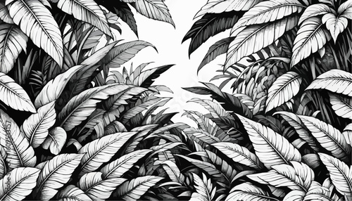 Detailed coloring page of tropical leaves framing a blank space for creativity