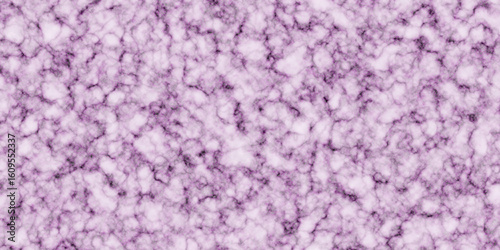 Loose Connective tissue under microscope