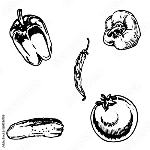 Black and white vegetable illustration set with bell pepper, chili, cucumber, tomato for engraving. bell peppers, tomatoes, cucumbers sketch