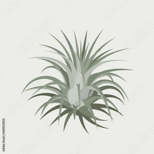 Stylized Green Plant with Long Pointed Leaves.