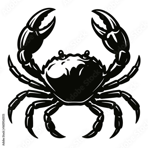Powerful Crab with Raised Claws - Resilient Marine Crustacean Ready to Defend