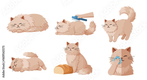 A collection of cartoon illustrations showcasing a fluffy cat in various poses and interactions.