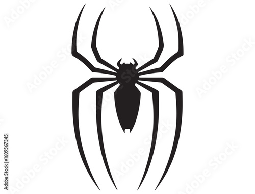 SPIDER SILHOUETTE