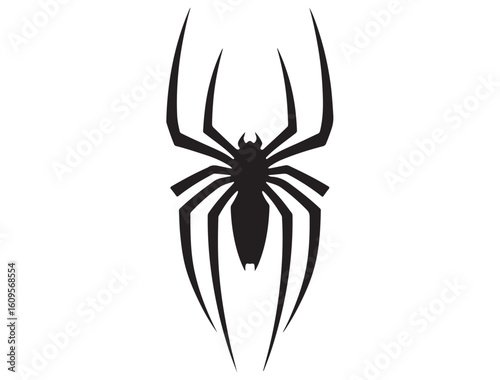 SPIDER SILHOUETTE