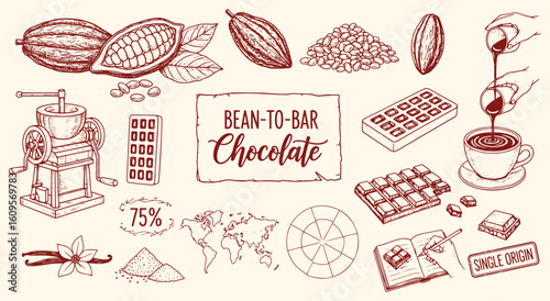 Bean-to-Bar Chocolate vector illustration set. Vintage engraving style graphics of cacao pods, beans, and the chocolate making process for artisan and gourmet food design.