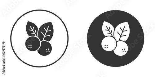 Blueberry icon in trendy flat design versions in black and white.