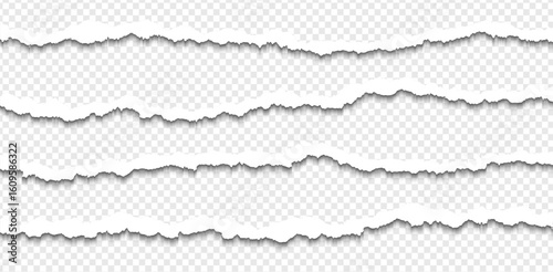 Ripped paper strips with rough torn edges