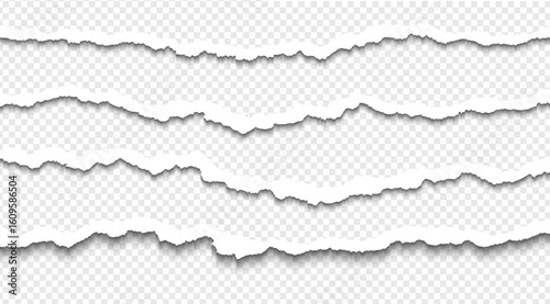 Ripped paper strips with rough torn edges