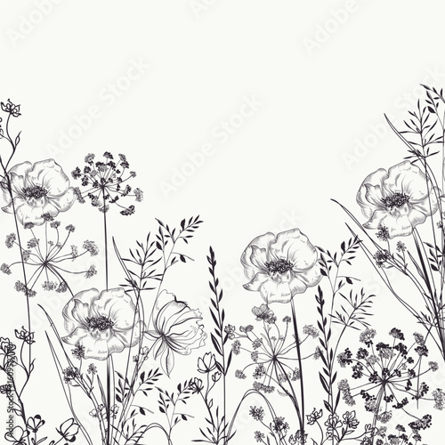 Hand drawn florals and flower vector illustration field wild plants
