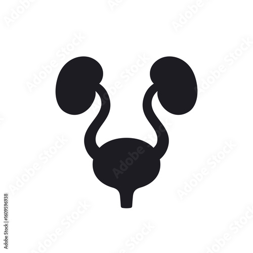 urinary system icon with bladder and kidneys on white