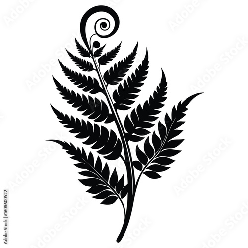 Elegant black silhouette of a fern frond on a white background showing natural leaf design for botanical decor