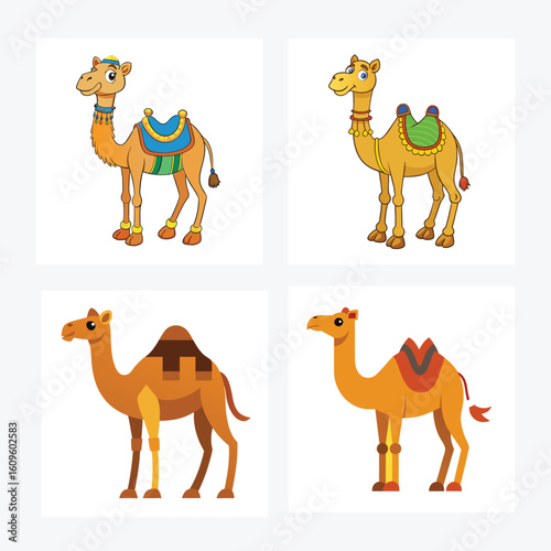 Camel Standing on desert