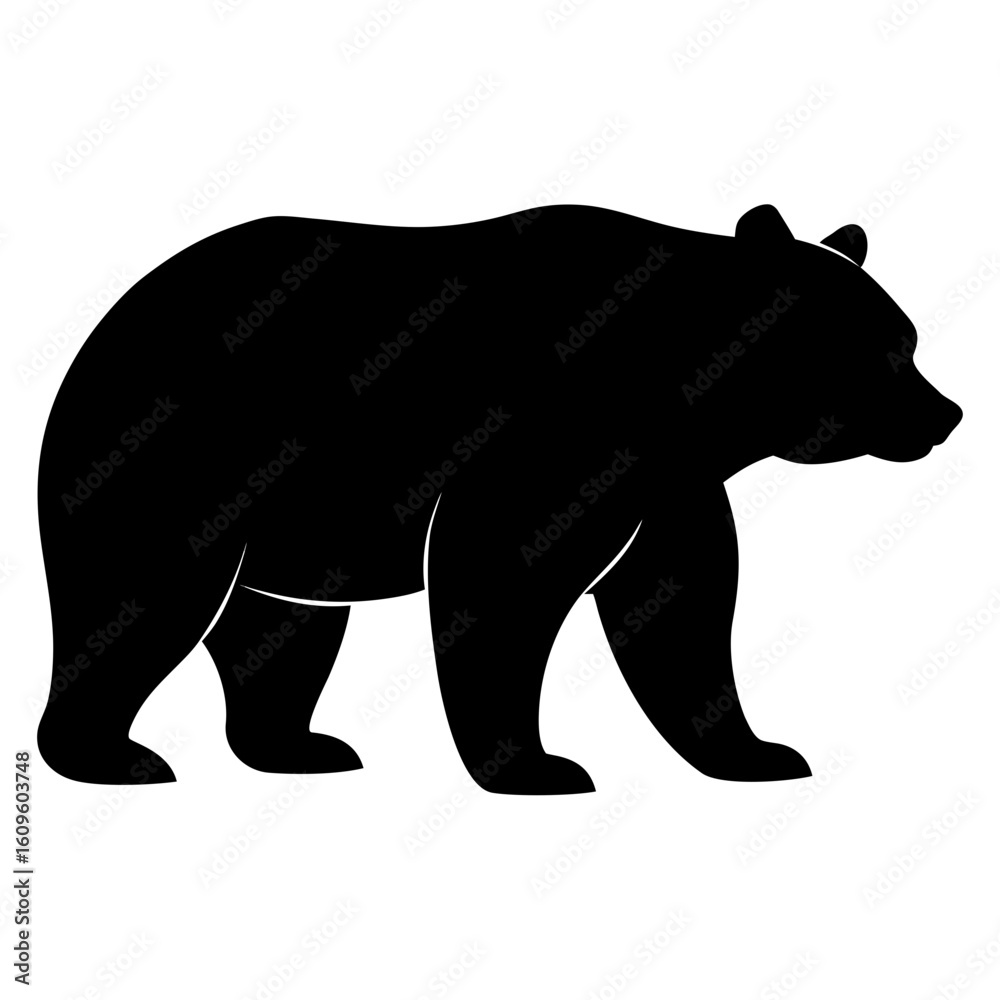 Fototapeta premium Grizzly bear on white background