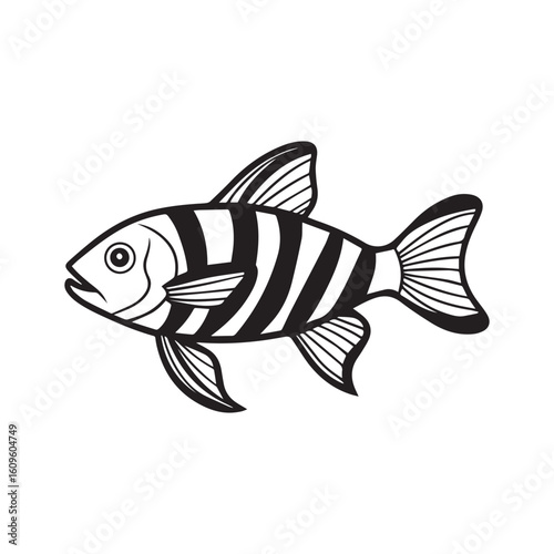 Zebra danio silhouette vector illustration logo sticker design 