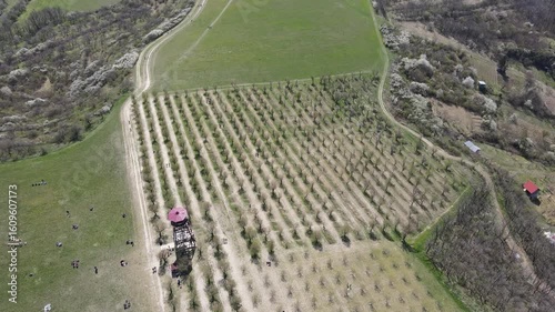 Drone video of almond orchards near the town of Hustopeče, Moravia, Czech Republic. Aerial view of spring nature, almond orchards and lookout tower.
