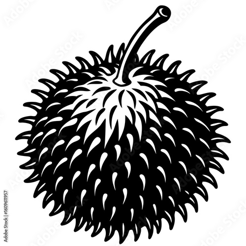 Fresh Ripe Rambutan Exotic Tropical Fruit Red Hairy Sweet Juicy Organic Summer Food