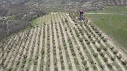 Drone video of almond orchards near the town of Hustopeče, Moravia, Czech Republic. Aerial view of spring nature, almond orchards and lookout tower.