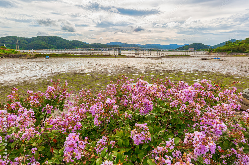 Obraz premium The sunset view of the tidal flat of Danghangpo, Goseong, Gyeongsangnam-do, Korea.