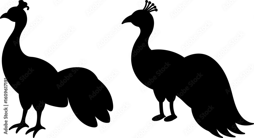 Obraz premium Black peacock animal set, Set of animals, peacock animal collection, Vector of animals, peacock animal silhouette, black animal isolated on white background
