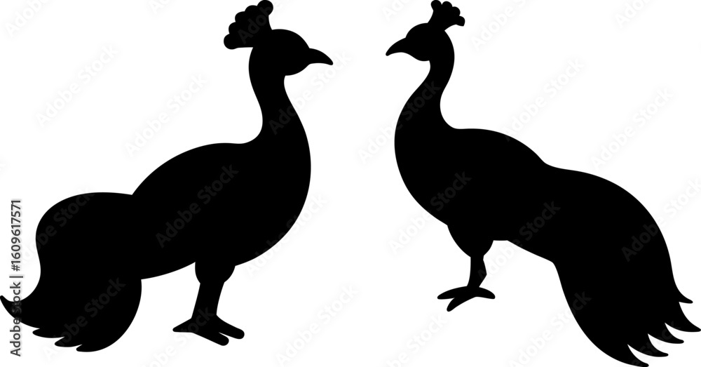 Fototapeta premium Black peacock animal set, Set of animals, peacock animal collection, Vector of animals, peacock animal silhouette, black animal isolated on white background