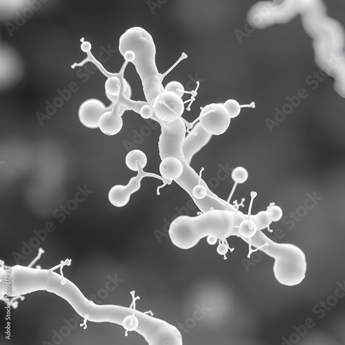 Staphylococcus aureus