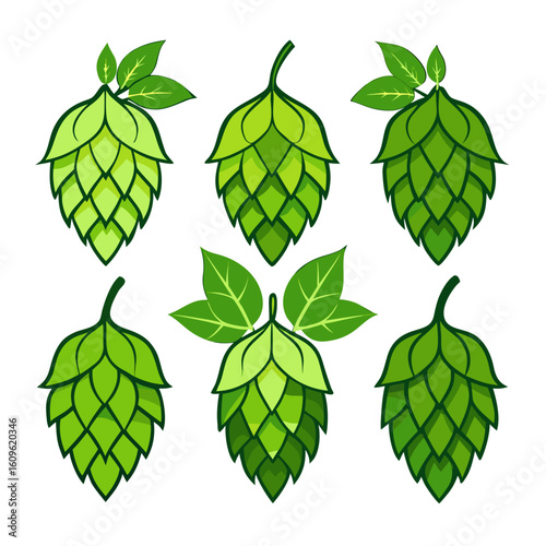 Collection of Six Stylized Hops Illustrations in Various Shades of Green with Dark Outlines Some with Leaves on a White Background Suitable for Brewing or