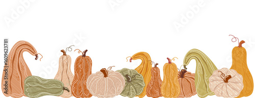 Hand-drawn pumpkins and squashes in warm autumn colors. Decorative fall season border on white background. Fall, harvest, Thanksgiving, and seasonal design projects. Vector illustration