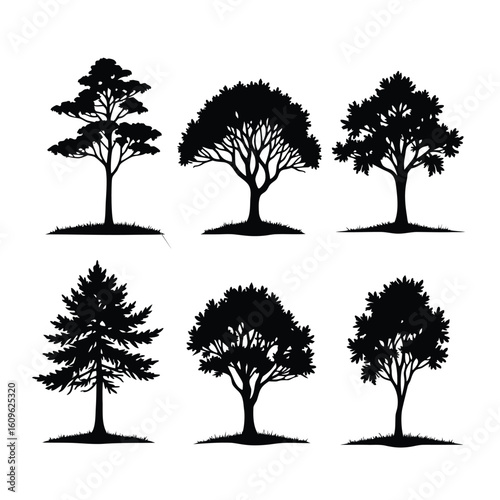 Diverse Tree Silhouettes With Grass Bases black white