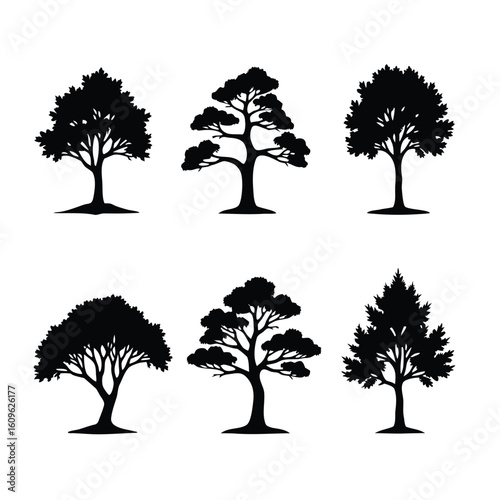 Six black tree silhouettes on white background trees nature