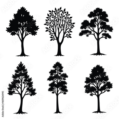 Six black tree silhouettes with detailed branches and foliage trees white background