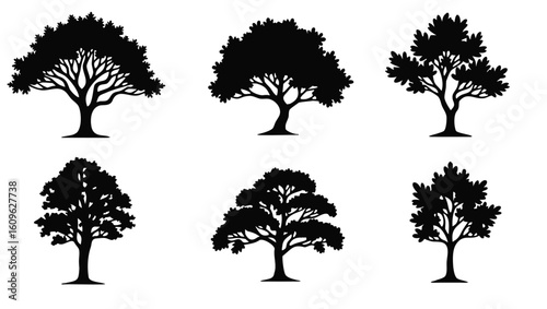 Six black tree silhouettes with detailed branches and foliage white nature