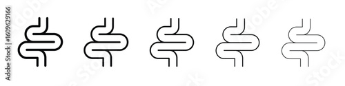 Intestines icon. Thin line icons collection for web ui.