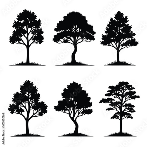 Six black tree silhouettes with leafy canopies and grassy bases trees white background