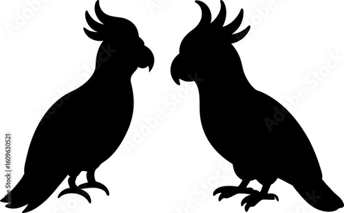 Black cockatoo animal set, a set of cockatoo standing, cockatoo collection, Vector of cockatoo animal, cockatoo silhouette, black cockatoo isolated on white background