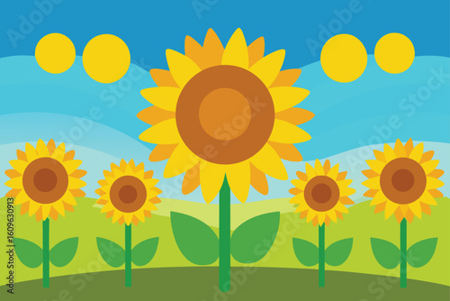 sunflower field glow