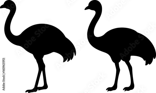 Black ostrich bird animal set, a set of ostrich birds standing, ostrich bird collection, Vector of ostrich bird animal, ostrich bird silhouette, black ostrich bird isolated on white background